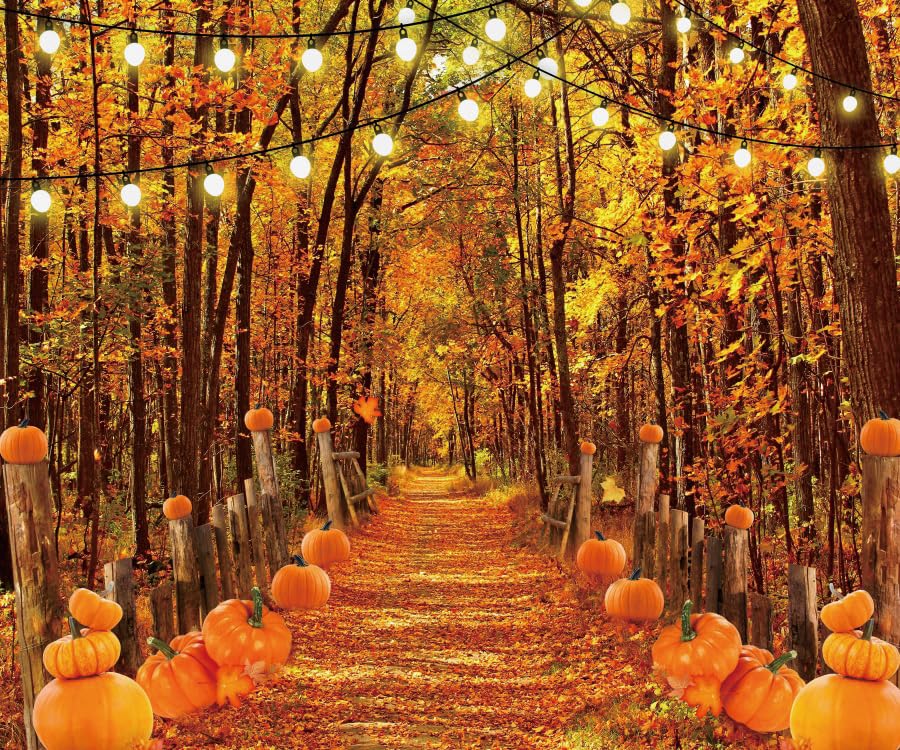 Fall Thanksgiving Backdrop for Photography 10x8ft Autumn Forest Pumpkin Path Maple Leaves Photo Backdrop Farm Harvest Thanksgiving Party Family Friendsgiving Decor Kids Adult Portrait Photo Props