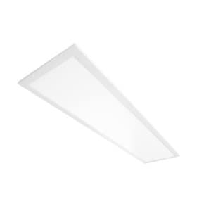 1x4’ RAB LED Drop Ceiling Light Panel - Edge-LIT Lighting | 30W | 3454 Lumens | 5000K - Dimmable & Easy Installation EZPAN1X4-30/D10 - color: 5000K