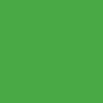 Seamless Photography Photo Backdrop Background Paper Roll for Photoshoot 53 inches Wide x 16 feet Long, Stinger - color: Stinger, size: 53"x16'
