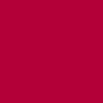 Seamless Photography Photo Backdrop Background Paper 53 inches Wide x 16.5 feet Long (Flame) - color: Flame, size: 53"x16'