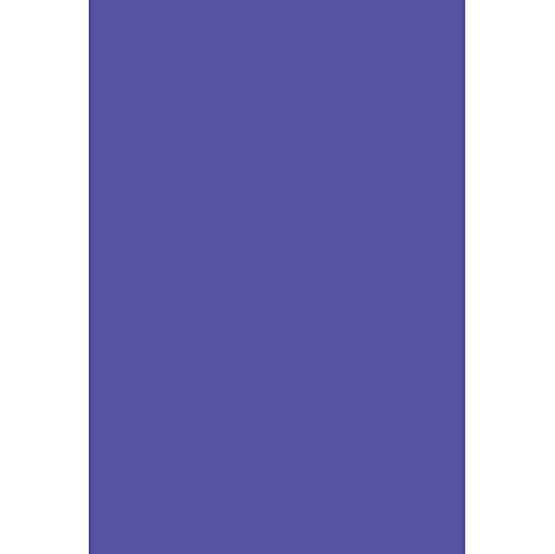 Renaiss 4x6ft Purple Blue Backdrop for Portrait Shoot Solid Color Monochrome Purplish Blulish Pure Violet Screen Photography Background Baby Shower Wedding Birthday Party Decors Photo Booth Props - color: Purple, size: 4x6ft