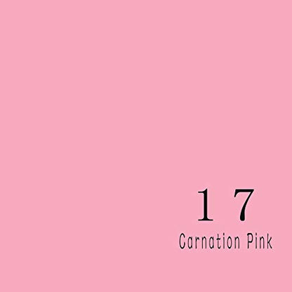 Huamei Seamless Photography Background Paper, Photo Backdrop Paper (8.9x36 Feet, #17 Carnation Pink) - color: Carnation Pink, size: 107''x36'