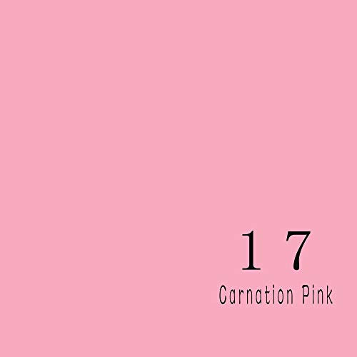 Huamei Seamless Photography Background Paper, Photo Backdrop Paper (8.9x36 Feet, #17 Carnation Pink) - color: Carnation Pink, size: 107''x36'