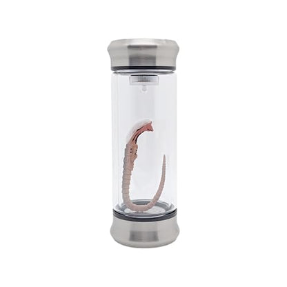 Alien Specimen Jar with Green LED Light – Embryo in Glass Display – Sci-Fi Collectible Movie Prop Gift for UFO & Alien Fans (Chestburster)