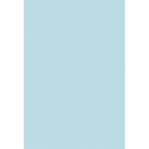 Renaiss 3x5ft Ice Blue Backdrop for Photoshoot Portrait Solid Color Monochrome Light Baby Blue Screen Photography Background Eggshell Blue Baby Shower Wedding Birthday Party Decor Photo Booth Props - color: Ice Blue, size: 3x5ft