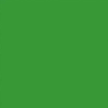 Denny Manufacturing - Seamless Paper Backdrop for Photography, Green Screen Seamless Paper Roll - Green Screen (53 in x 36 ft) Includes Free Roll Black Gaffer Tape (2 in x 13 ft) - color: Green Screen, size: 53 in x 36 ft