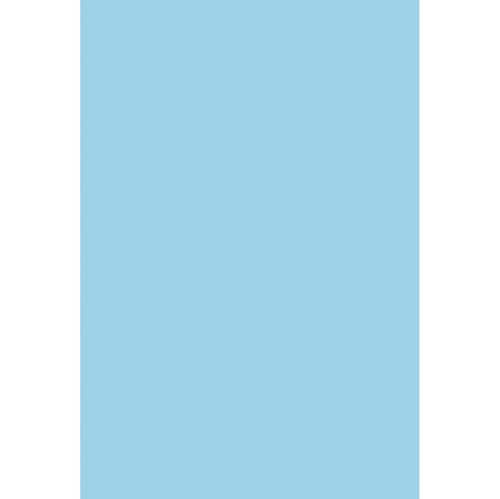 Renaiss 4x6ft Baby Blue Backdrop for Photoshoot Portrait Solid Color Monochrome Light Blue Screen Photography Background Gentle Sky Blue Baby Shower Wedding Birthday Party Decors Photo Booth Props - color: Baby Blue, size: 4x6ft