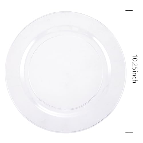bUCLA 30PCS Clear Plastic Dinner Plates Disposable - 10.25" Heavy Duty Clear Plastic Plates for Party & Wedding - color: 10.25Inch-30pcs-Clear