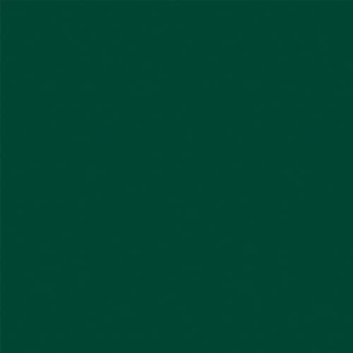 Denny Manufacturing - Seamless Paper Backdrop for Photography, Green Seamless Paper Roll - Pine Green (53 in x 36 ft) Includes Free Roll Black Gaffer Tape (2 in x 13 ft) - color: Pine Green, size: 53 in x 36 ft
