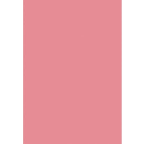 Renaiss 4x6ft Pink Backdrop for Photoshoot Portrait Solid Color Monochrome Light Pink Screen Photography Background Gentle Watermelon Pink Baby Shower Wedding Birthday Party Decors Photo Booth Props - color: Pink, size: 4x6ft