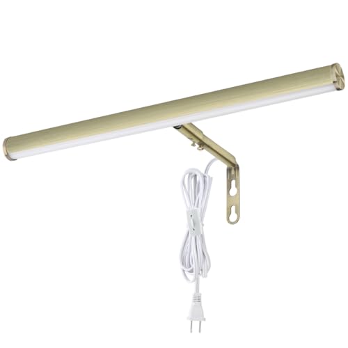 LED Picture Lights for Paintings Plug in, 14 Inch 4W Adjustable Art Light Gallery Wall Light for Display Art Work, Antique Brass Finish, CRI90+, 3000K Warm White, ETL Listed - color: Antique Brass, size: 14 inch