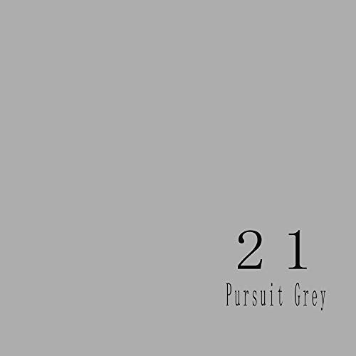 Huamei Seamless Photography Background Paper, Photo Backdrop Paper 8.9 x 36 Feet / 2.72 x 11 Meters, 21 Pursuit Grey (272121) - color: Pursuit Grey, size: 107''x36'