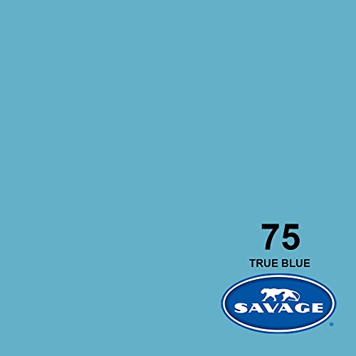 Savage Seamless Paper Photography Backdrop - Color #75 True Blue, Size 26 Inches Wide x 36 Feet Long, Backdrop for Tabletop Product Photography and Crafting - Made in USA - color: True Blue, size: 26 in x 36 ft