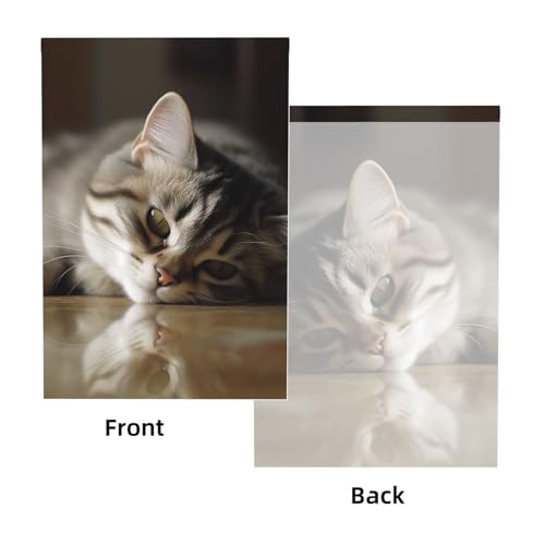 Sleeping Cat Backdrop Background for Photography 5x7ft Photobooth Professional Photo Backdrop Curtains Video Photography Studio Photo Backgrounds Banner Booth Background Screen Parties - color: Sleeping Cat