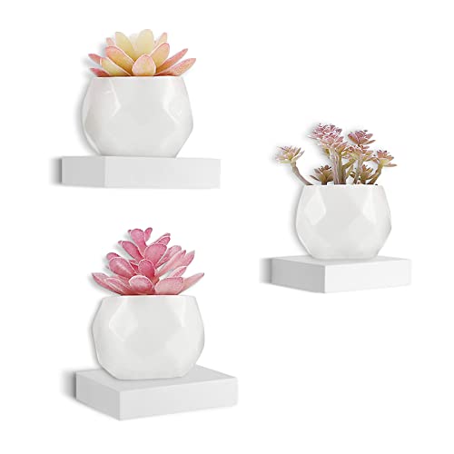 HAO Small Floating Shelf 6 inch Wall Mounted Mini Hanging Display Shelves for Living Room Bedroom Bathroom Set of 3 White - color: White, size: 5.5 Inch,Set of 3