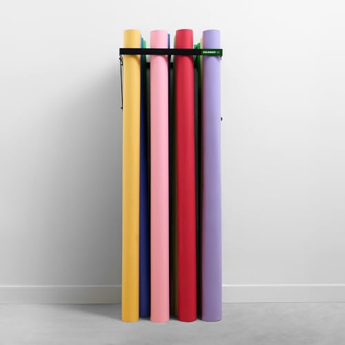 Seamless Paper Backdrop Vertical Storage Rack – Wall Mounted Organizer for Photography Studio – Holds Up to 16 Rolls (Black) - color: BLACK