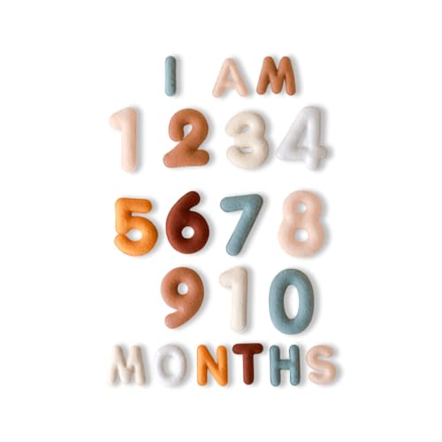 Baby Monthly Milestone Numbers – Signs & Photo Props – Soft Felt Letters & Numbers for Baby Announcement, Newborn Photography, Neutral - color: Neutral