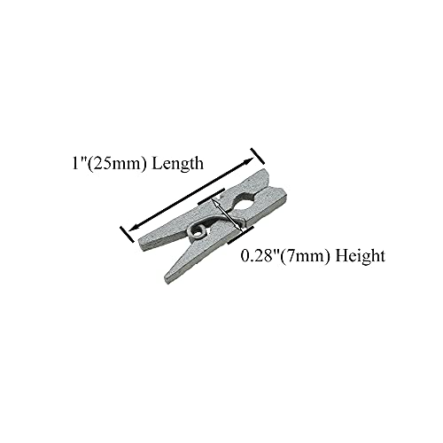 HAHIYO Silver Wooden Clothes Pins Clothespins Mini Do NOT Fall Apart 1 inches Length 80 Pack Sturdy Strong Springs No Rust No Discoloration for Laundry Bathroom DIY Craft Photos Food Opened Bags - size: Silver 1 inches 80 Pack