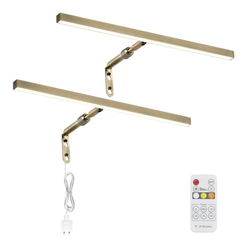 2 Pack LED Picture Lights for Paintings Plug in, 16 Inch 4W Adjustable Art Light Gallery Wall Light for Display Art Work, Antique Brass Finish, CRI90+, 3000K Warm White - color: Antique Brass, size: 15.7inch,2 pack