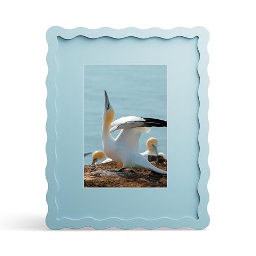 8x10 Picture Frame with Mat for 5x7, Wavy Edge Wooden Real Glass Photo Frame for Tabletop and Wall Hanging, Blue, 1 Pack - color: Blue, size: 8x10 in