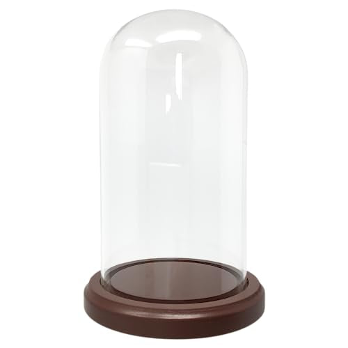 BANBERRY DESIGNS Clear Glass Display Dome with Wooden Base – 7" H x 3.75" W Cloche Bell Jar – 5" Base – Decorative Cover for Figurines, Dolls, Collectibles, Jewelry & Crafts Display Case