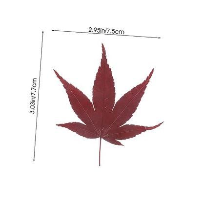 30pcs Sushi Leaves Tray Sashimi Backdrop Japanese Sushi Tray Decor Natural Maple Leaf Decor Serving Leafs Sashimi Dispenser Maple Food Photography for Dessert and Baking