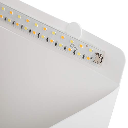 40cm LED Foldable Lightbox, Photography Softbox with Adjustable Brightness and 6 Color Backgrounds, 140pcs Light Chips for Jewelry Product Photo