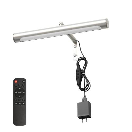4W Picture Light Plug in, 12" Adjustable LED Art Light with Remote Control, Dimmable Wall Light for Picture Display Dartboard Art Work (Nickel) - color: Nickel, size: 12 inch
