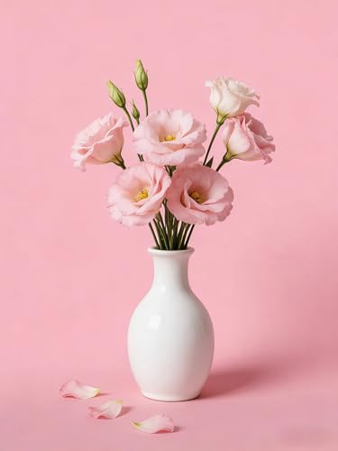 Seamless Paper Background for Photography Photo Studio Backdrop Roll(107" x36' Carnation Pink) - color: Carnation Pink, size: 107" X 36'