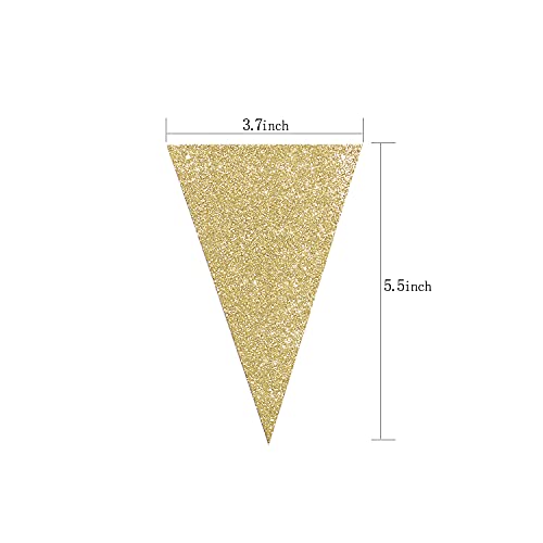 Letjolt Green Triangle Banner Decoration Golden Greenery Party Supplies St. Patrick's Day Bunting Signs for Birthday Nursery Anniversary Pre - Strung Flags 15 pcs 10 Feet