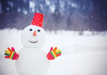 17X10ft Fabric Cute Snowman Winter Snow Backdrop Cheerful Holiday Scene Background Christmas Birthday Party Decorations Kids Photo Studio Props Wall Decor Living Room Bedroom Tapestry - size: 17X10ft