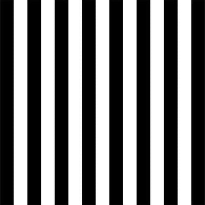 AOFOTO 6x6ft Black and White Striped Photography Backdrop Streak Textured Background Adult Elder Girl Boy Birthday Party Decoration Vinyl Wallpaper Portrait Photo Studio Props Baby Shower Banner - size: 6x6ft