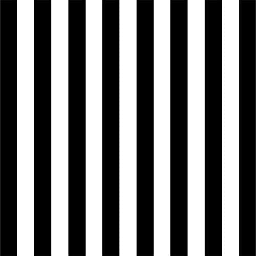 AOFOTO 6x6ft Black and White Striped Photography Backdrop Streak Textured Background Adult Elder Girl Boy Birthday Party Decoration Vinyl Wallpaper Portrait Photo Studio Props Baby Shower Banner - size: 6x6ft
