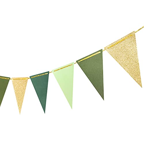 Letjolt Green Triangle Banner Decoration Golden Greenery Party Supplies St. Patrick's Day Bunting Signs for Birthday Nursery Anniversary Pre - Strung Flags 15 pcs 10 Feet