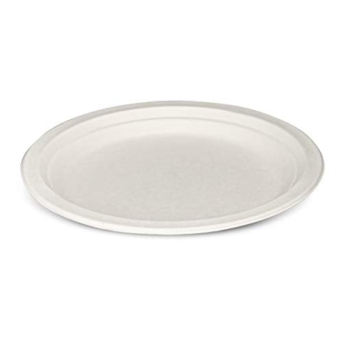 GUSTO [9 Inch - 250 Pack Heavy-Duty White Paper Plates, 100% Compostable, Eco-Friendly - Biodegradable Disposable Plates, Sugarcane Paper Plates
