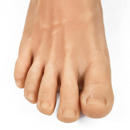 1 Pair Silicone Lifesize Male Mannequin Foot with Bone Display Jewerly Sandal Shoe Sock Display Art Sketch （4201） ( Size : Bone ) - size: Bone