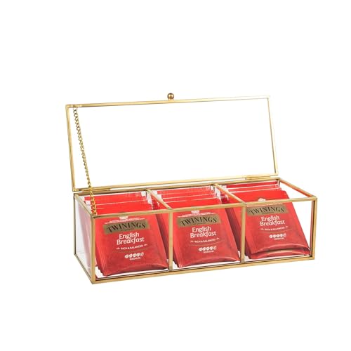 Feyarl Gold Glass Tea Bags Box Sea Shell Display Organizer Cosmetics Countertop Canister Box Jar Storage Glass Jewelry Trinket Ring Earring Box Container for Girl Women Gift