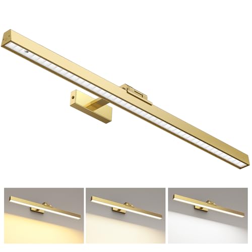 Afyuol Picture Lights for Wall, Brushed Gold Battery Operated Picture Light 24in Art Light CCT Dimmable Recharging Battery Wall Light with Remote Control for Living Room Gallery - color: Brushed Gold, size: 1PC24inches