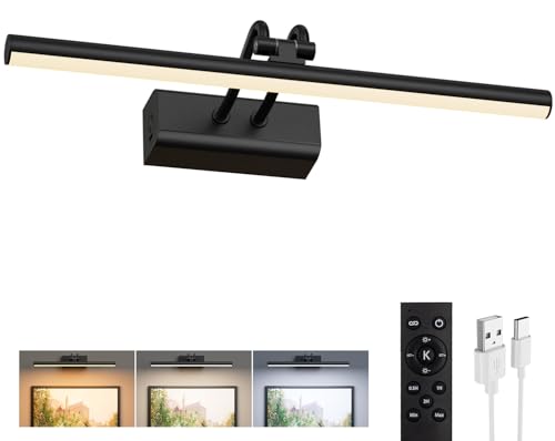 Battery Operated Picture Light for Wall, Wall Light for Living Room, 4000 mAh, 13.8'' Dimmable Art Painting Light, Remote Control, Black, Display for Gallery, Living Room, Bedroom(Black) - color: Black, size: 13.8Inch