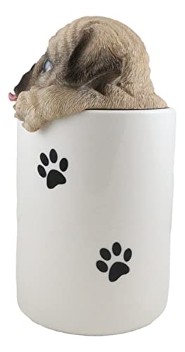 Ebros Gift Ceramic Hungry Pug Dog With Tongue Out Hiding and Peeking Dry Storage Jar With Paw Prints 6" Tall Decorative Earthenware Accessory Figurine As Decor of Pets Dogs Pugs