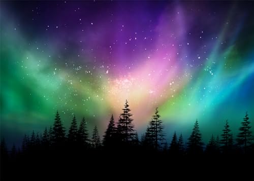 10x8 FT Colorful Northern Lights Backdrop Canadian Forest Aurora Borealis Night Sky Photography Background Pine Forest Northern Lights Wall Art Backdrop Home Decor Photo Booth Studio Props - size: 10x8 FT