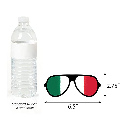 Big Dot of Happiness Viva Mexico Glasses - Paper Card Stock Mexican Independence Day Party Photo Booth Props Kit - 10 Count