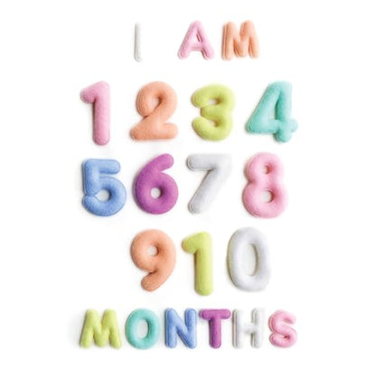 Lucy Darling Felt Baby Monthly Milestone Numbers – Signs & Photo Props – Soft Letters & Numbers for Baby Announcement, Newborn Photography – Pastel - color: Pastel
