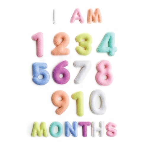Lucy Darling Felt Baby Monthly Milestone Numbers – Signs & Photo Props – Soft Letters & Numbers for Baby Announcement, Newborn Photography – Pastel - color: Pastel
