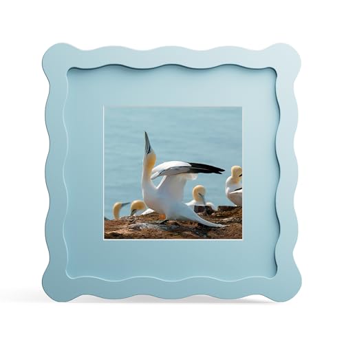 6x6 Picture Frame with Mat for 4x4, Wavy Edge Wooden Real Glass Photo Frame for Tabletop and Wall Hanging, Blue, 1 Pack - color: Blue, size: 6x6 in