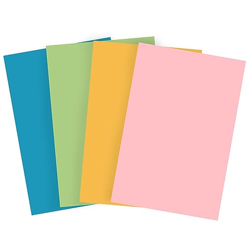 Bessie Bakes Vibrant Vintage Solid Color Roll-Up 2 Feet x 3 Feet Photography Backdrops 4 Pack - color: Aquarius, Leo, Taurus, Libra