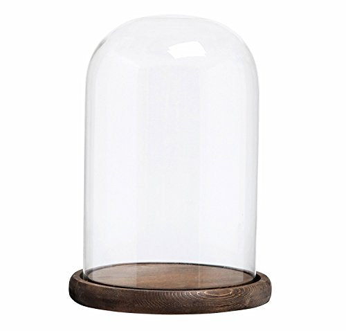 MyGift The Bell Jar Glass Cloche with Rustic Wood Base, 10 Inch Tall Clear Decorative Glass Dome Display for Plants, Curios, Keepsakes, Heirlooms - color: Burnt Wood