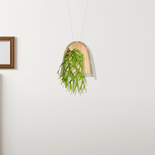 Cabilock Handmade Woven Dustpan Decorative Pendant, Small Decorative Dustpan Handicraft for Wall Hanging, Creative Craft DIY for Home Décor and Photography Props