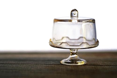 Mini Transparent Cake Stand with Lid 2 Mix Transparent Display Stand with Cover Garden Display Minimal Decoration