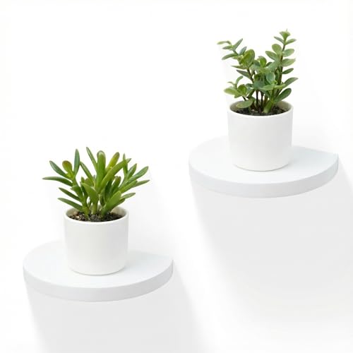 Small Wood Floating Shelves (2-Pack, 6-inch Diameter) - Round Sturdy Invisible Wall Mount Display for Small Plants,Toys,Bathroom,Living Room Storage & Modern Rustic Décor (White) - color: White, size: 6 Inch-2 Pcs